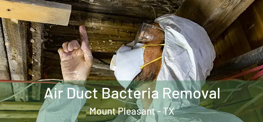  Air Duct Bacteria Removal Mount Pleasant - TX