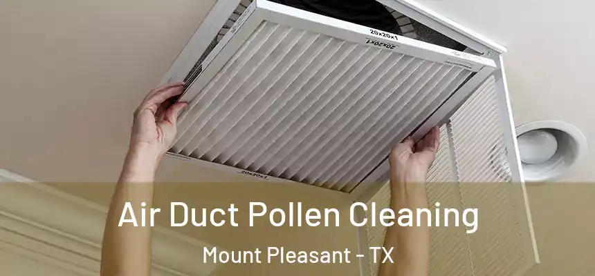  Air Duct Pollen Cleaning Mount Pleasant - TX