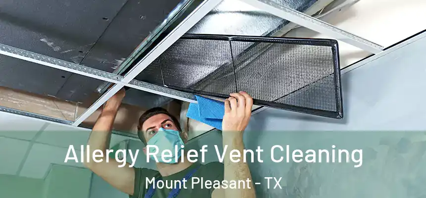  Allergy Relief Vent Cleaning Mount Pleasant - TX