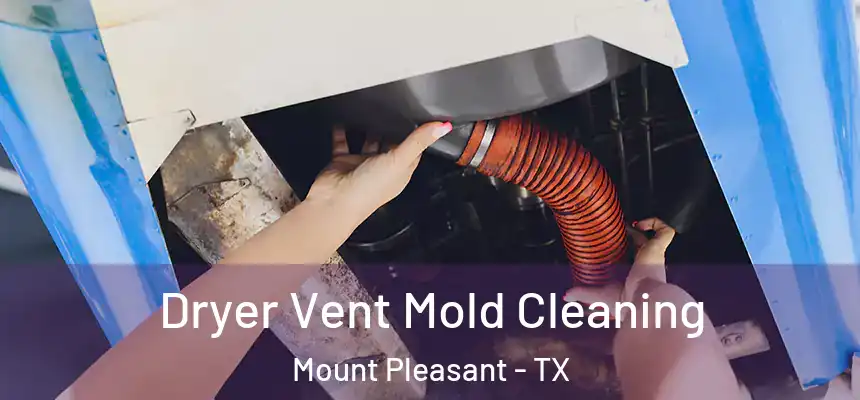  Dryer Vent Mold Cleaning Mount Pleasant - TX