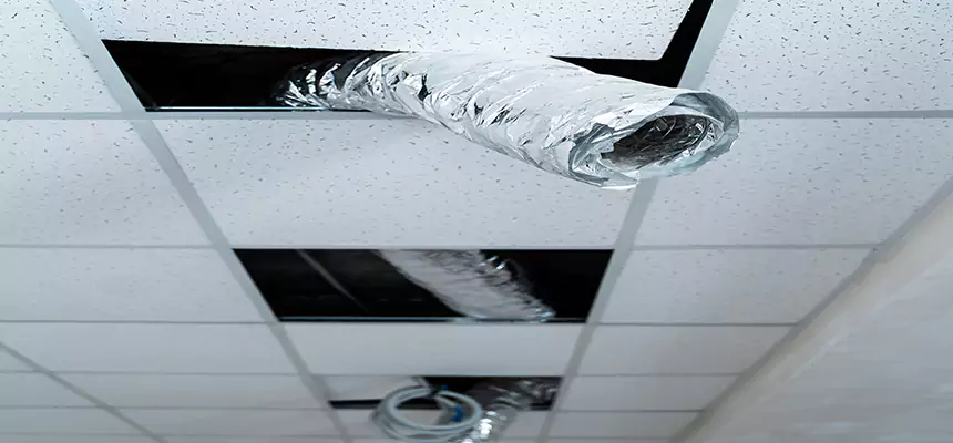 Affordable HVAC Sanitizing After Pest Removal in Mount Pleasant