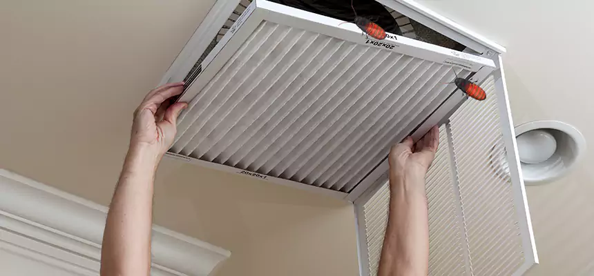 Our Insect Removal from Air Ducts Services in Mount Pleasant, TX