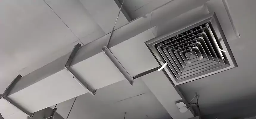 Our Pest Removal From Ducts Services in Mount Pleasant, TX