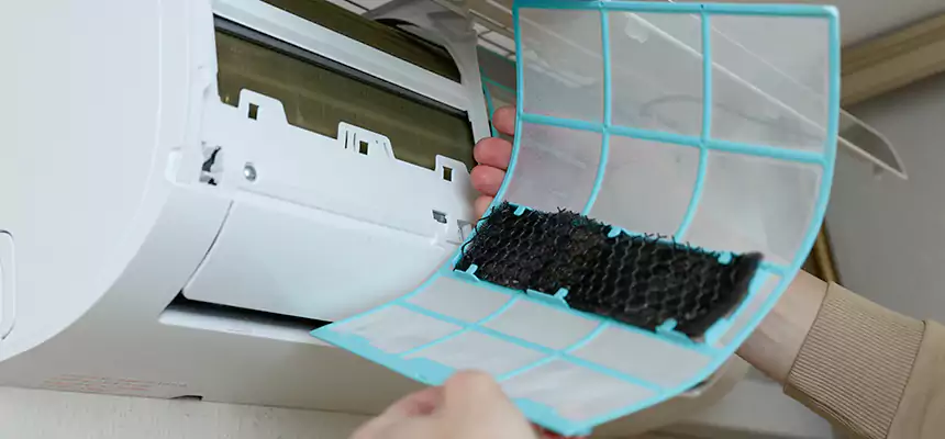 Gentle Ductwork Odor-Control Pet Dander Duct Cleaning in Mount Pleasant, TX