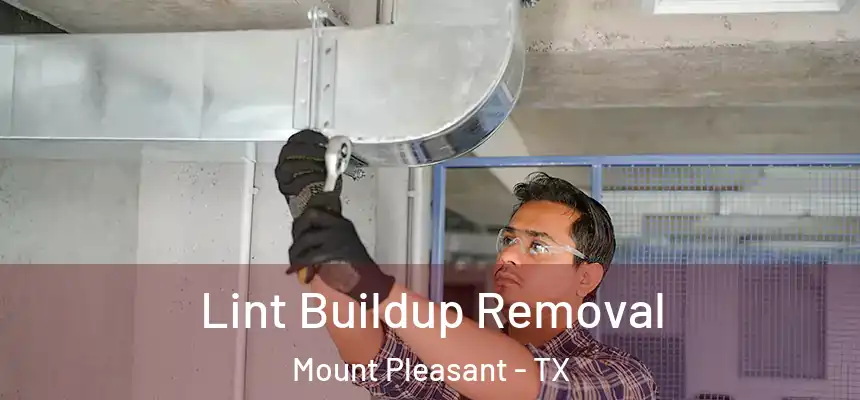  Lint Buildup Removal Mount Pleasant - TX
