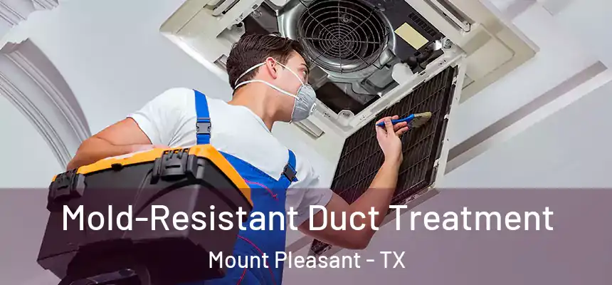  Mold-Resistant Duct Treatment Mount Pleasant - TX
