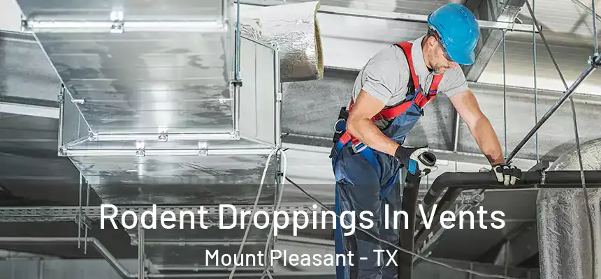  Rodent Droppings In Vents Mount Pleasant - TX