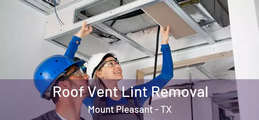  Roof Vent Lint Removal Mount Pleasant - TX