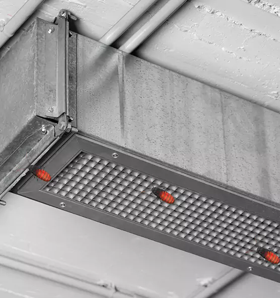 About Air Duct Cockroach Removal in Mount Pleasant, TX