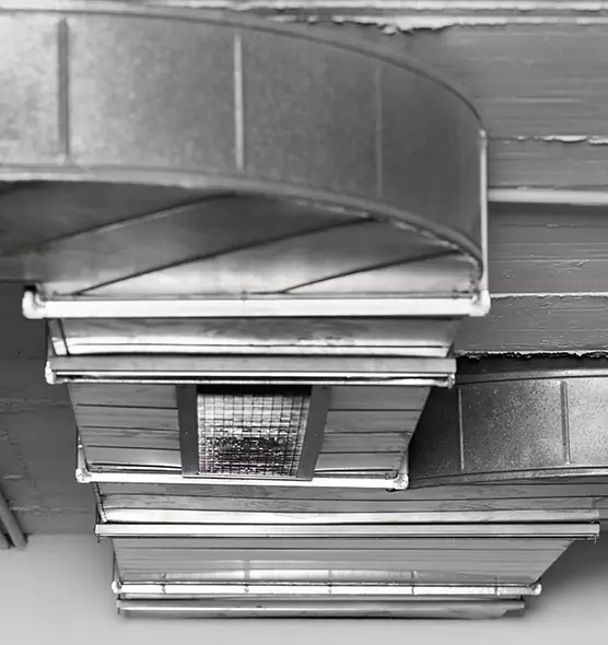 Professional Air Duct Pest Removal in Mount Pleasant, TX