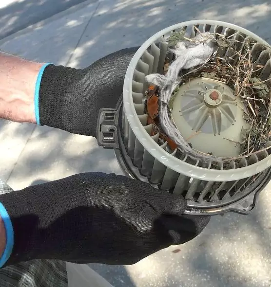 About Air Duct Rat Removal in Mount Pleasant, TX