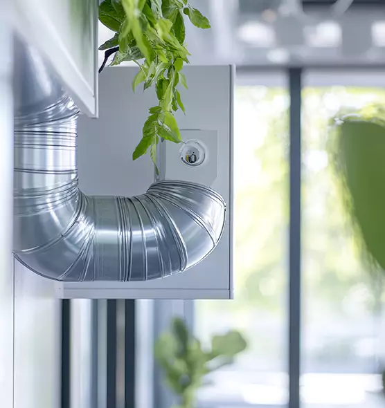 Professional Eco-Safe Dryer Vent Cleaning in Mount Pleasant, TX