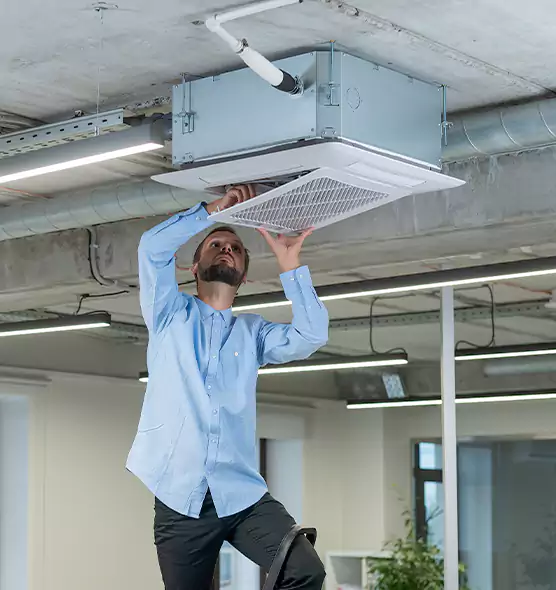 Advanced Rodent Droppings In Vents in Mount Pleasant, TX
