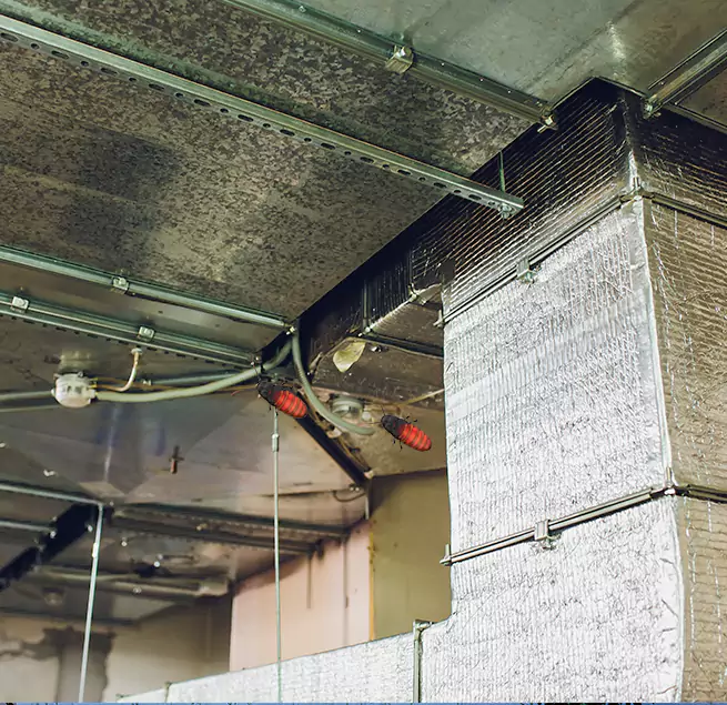 Why Homeowners & Businesses Trust Us in Mount Pleasant, TX?