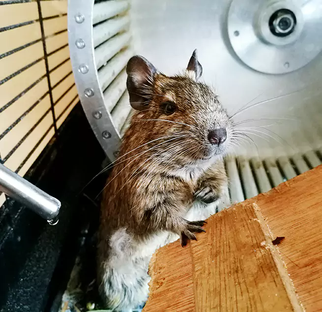 Why Homeowners & Businesses Trust Us Mount Pleasant, TX?