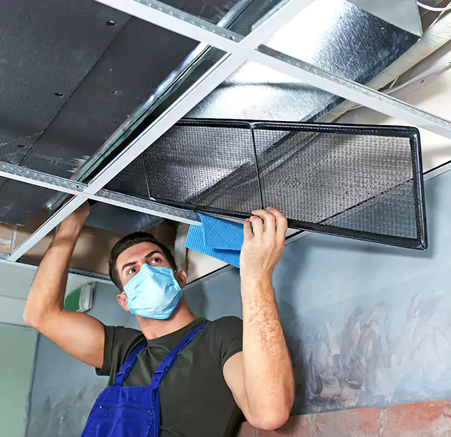 Why Homeowners & Businesses Trust Us in Mount Pleasant, TX?